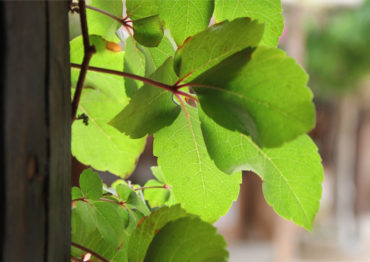 RETIRO DICIEMBRE 2020