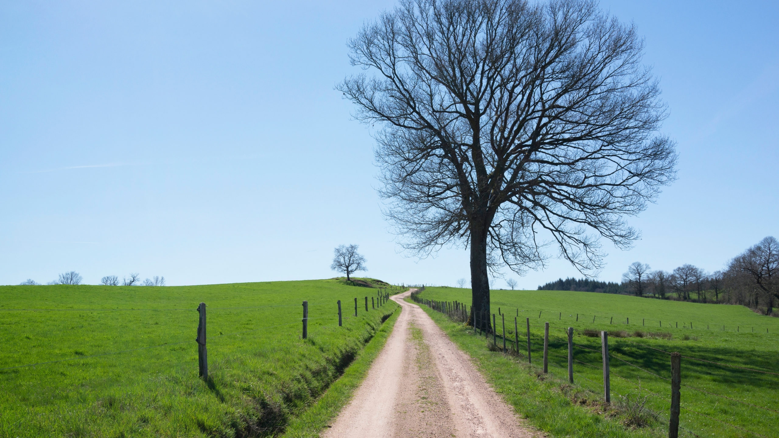 DISCÍPULA Y MISIONERA