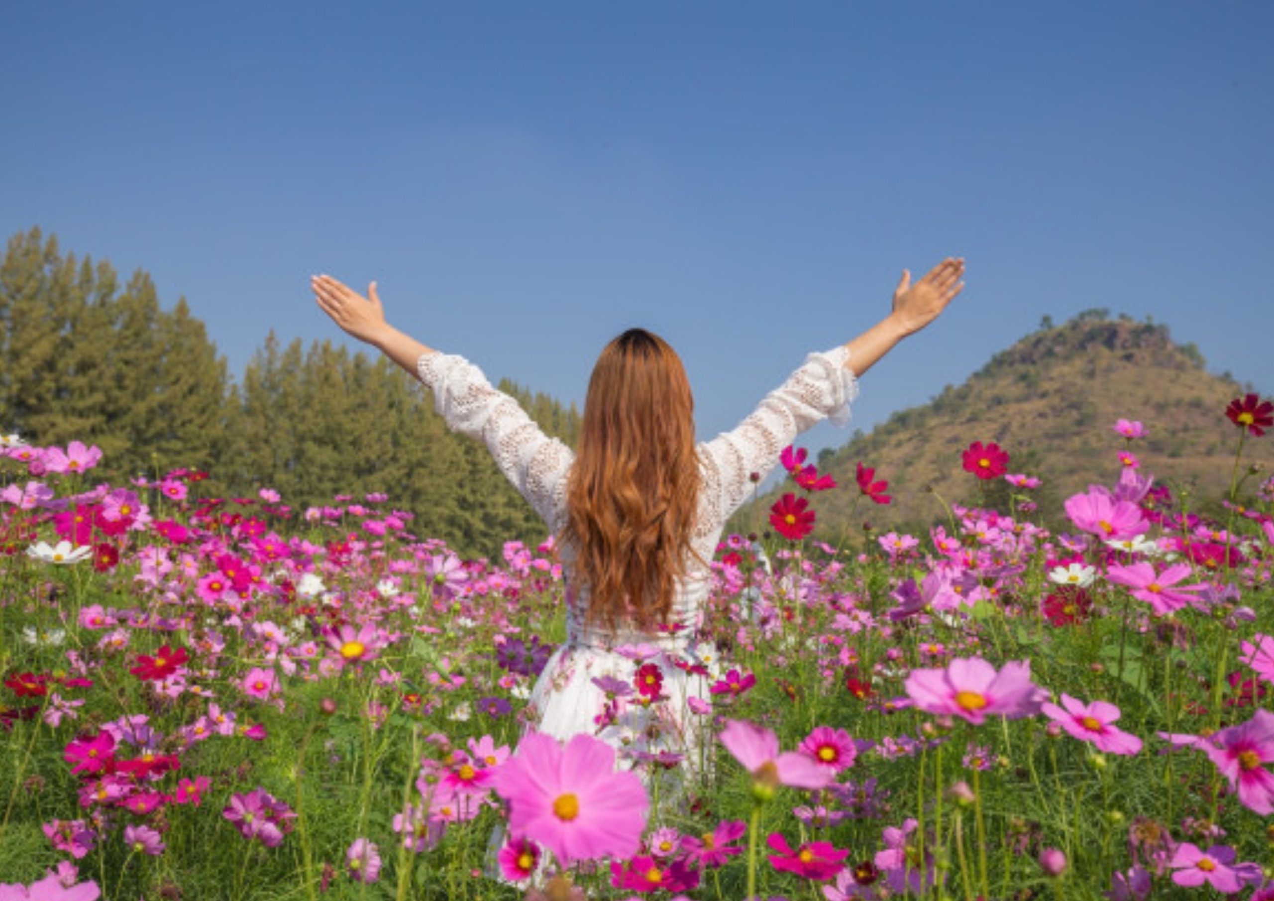 MARIA, TESTIGO DE LA RESURRECCIÓN