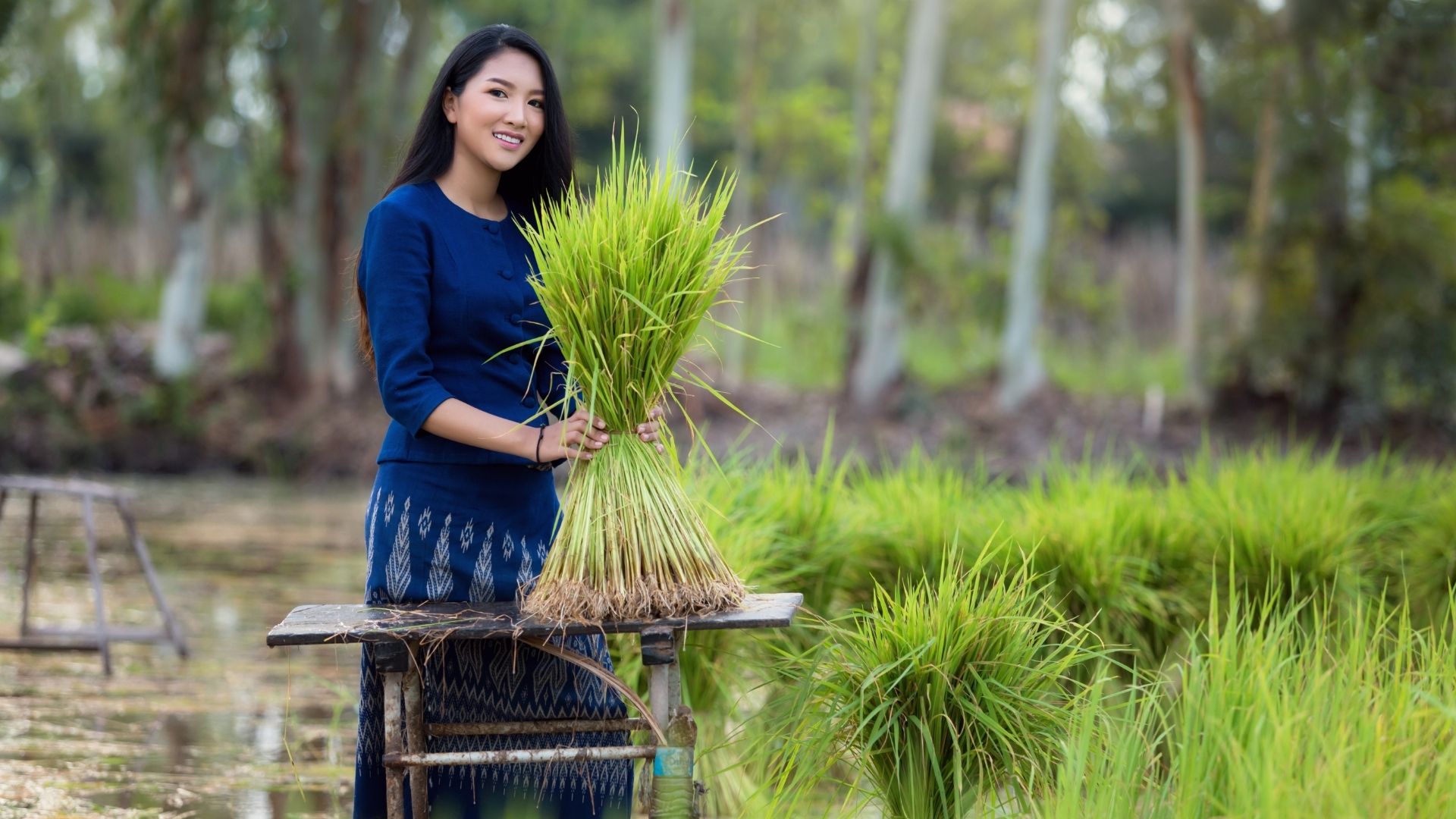MARÍA EN LA VIDA ORDINARIA