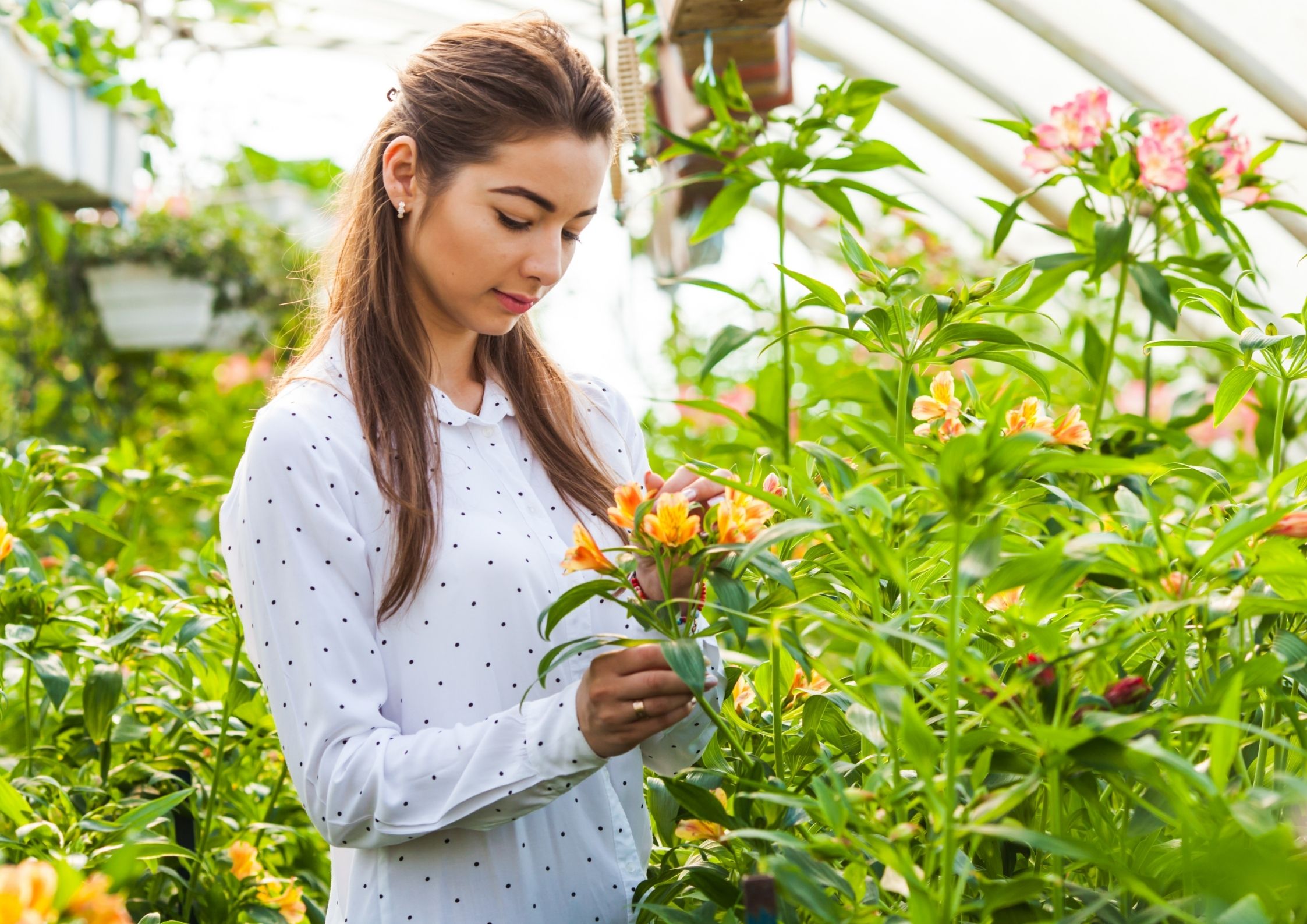 MADRE DE LA ALEGRÍA