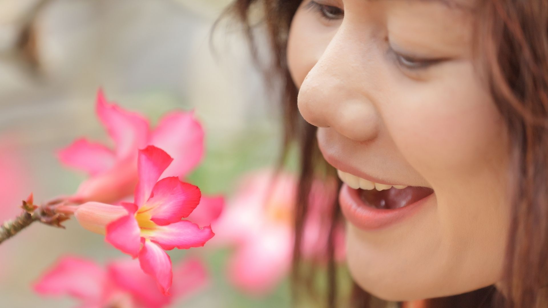 MARÍA, MADRE DEL AMOR