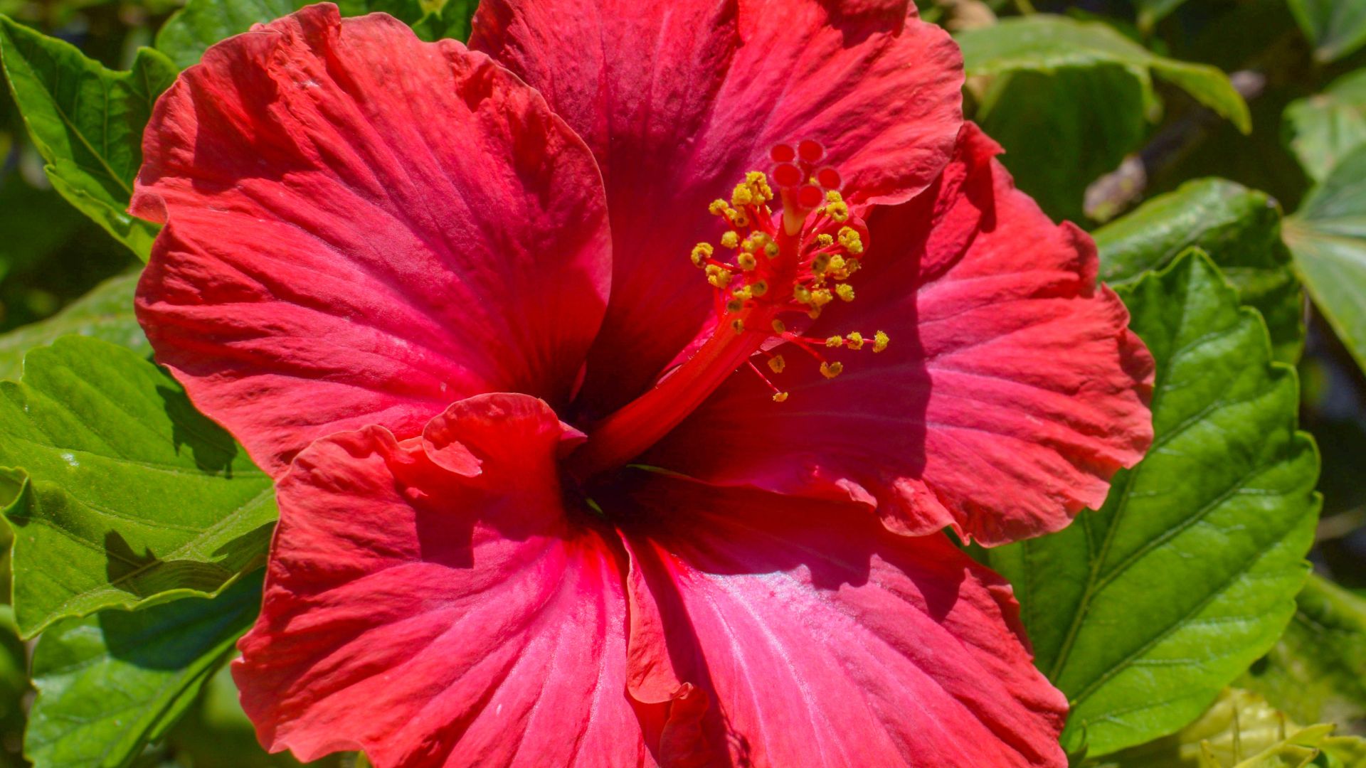 VIRTUDES DE LA VIRGEN MARIA