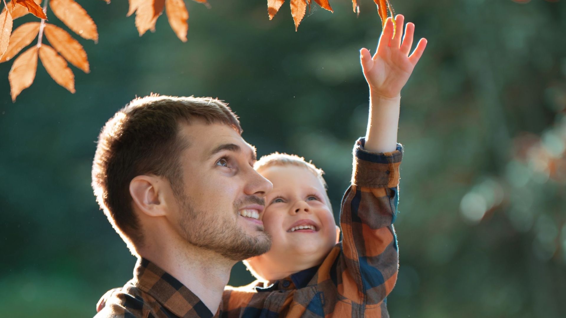 SAN JOSÉ MODELO Y PROTECTOR